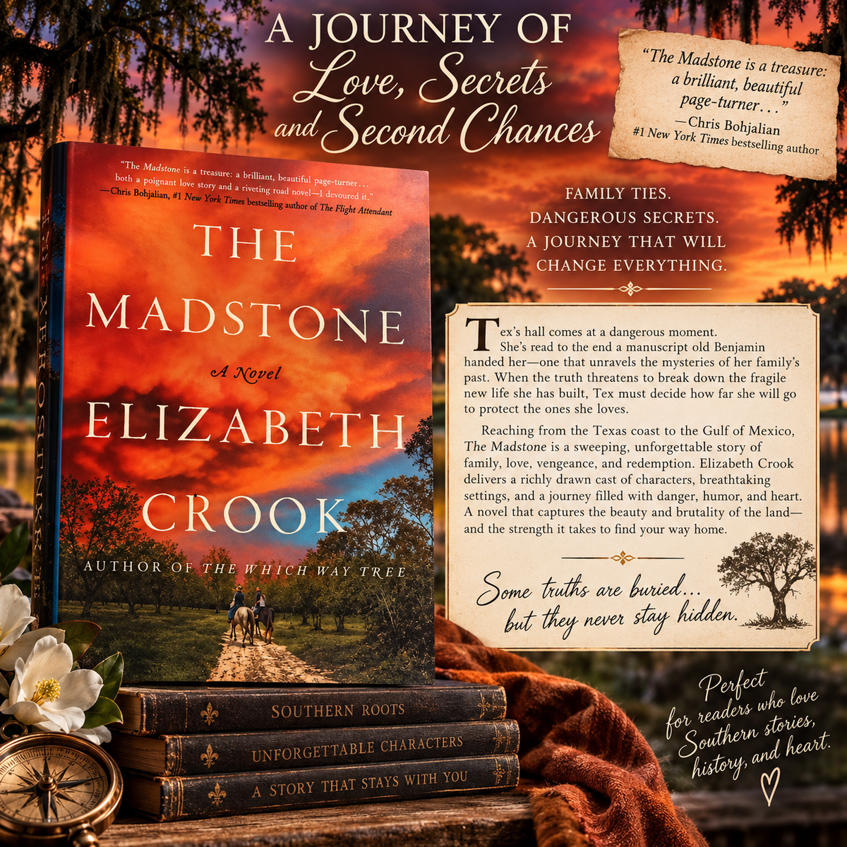 The Madstone by Elizabeth Crook